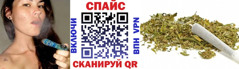 Купить где  Лыткарино  Бутират оксана 