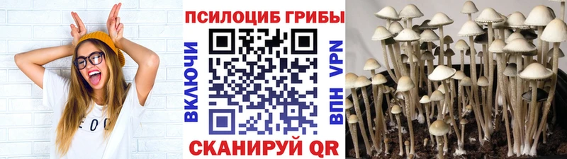 Псилоцибиновые грибы мухоморы Лыткарино