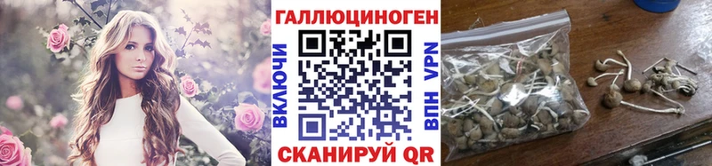 Галлюциногенные грибы Magic Shrooms  Купить  Лыткарино 